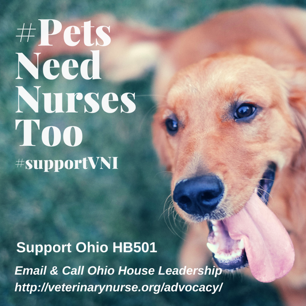 PVMA Portland Veterinary Medical Association endorses NAVTA’s