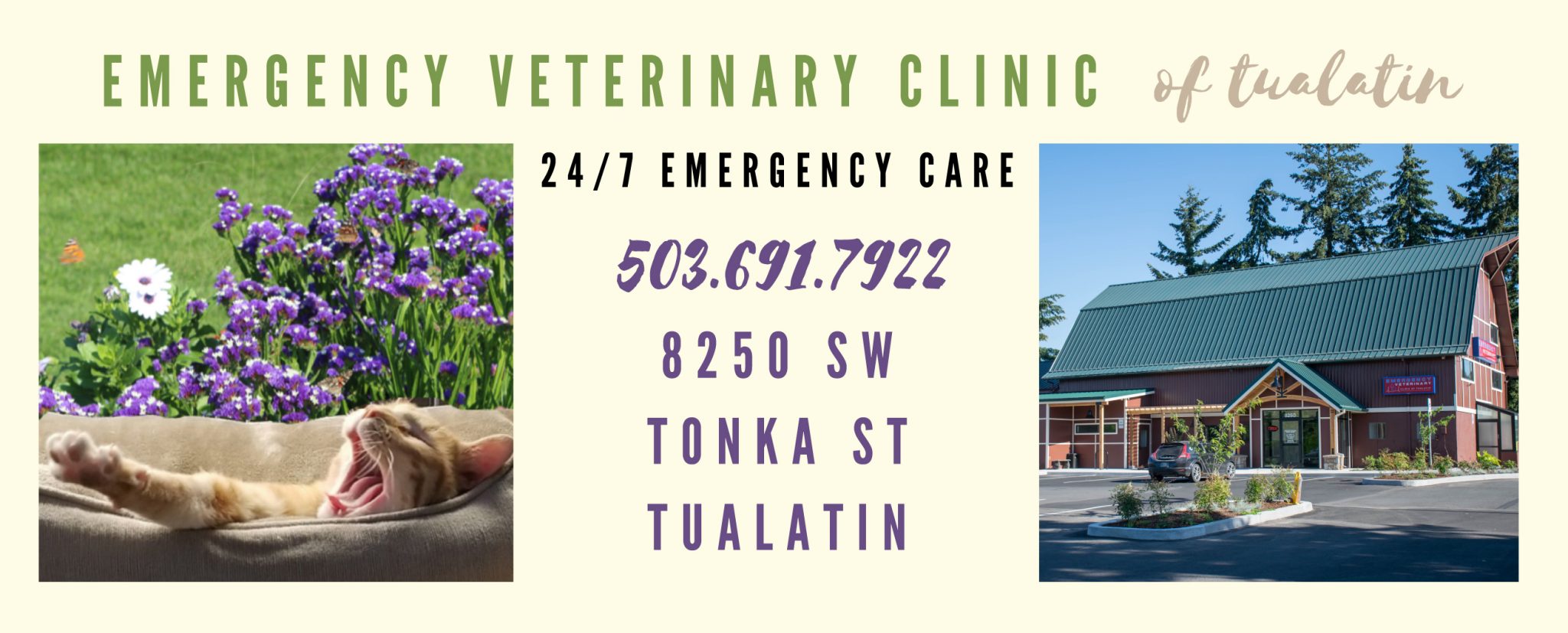 PVMA Emergency Veterinary Clinic of Tualatin